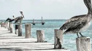 Top 5 best Welding Rod For Rusty Metal to buy