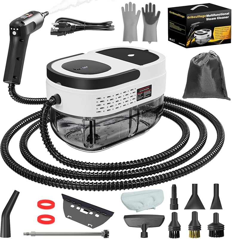 Portable Handheld Steam Cleaner: 2500W, High Temperature for Bed Bugs,